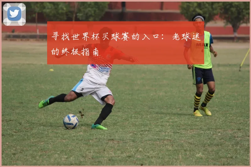 寻找世界杯买球赛的入口:老球迷的终极指南