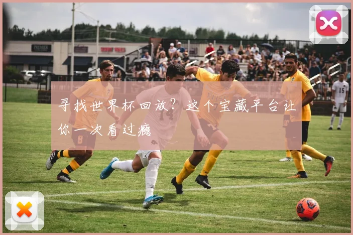 寻找世界杯回放？这个宝藏平台让你一次看过瘾