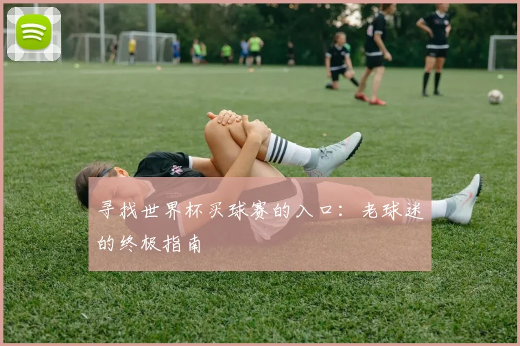 寻找世界杯买球赛的入口：老球迷的终极指南